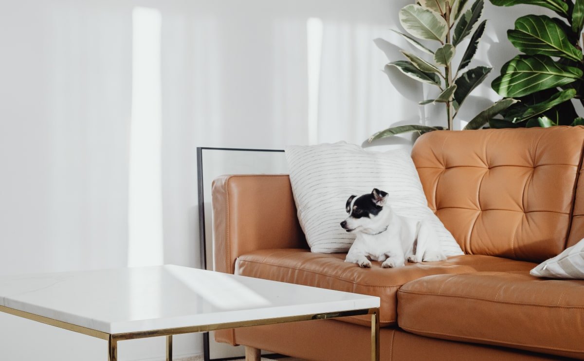 Home Furniture2